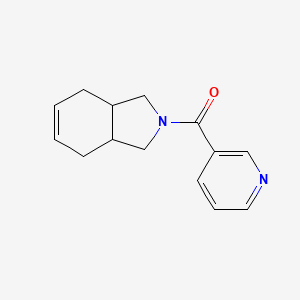 molecular formula C14H16N2O B7621035 1,3,3a,4,7,7a-Hexahydroisoindol-2-yl(pyridin-3-yl)methanone 