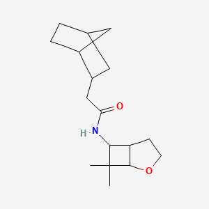 2-(2-bicyclo[2.2.1]heptanyl)-N-(7,7-dimethyl-2-oxabicyclo[3.2.0]heptan-6-yl)acetamide