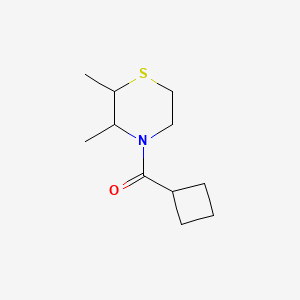 molecular formula C11H19NOS B7621173 Cyclobutyl-(2,3-dimethylthiomorpholin-4-yl)methanone 