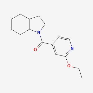 molecular formula C16H22N2O2 B7621313 2,3,3a,4,5,6,7,7a-Octahydroindol-1-yl-(2-ethoxypyridin-4-yl)methanone 