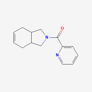 molecular formula C14H16N2O B7621555 1,3,3a,4,7,7a-Hexahydroisoindol-2-yl(pyridin-2-yl)methanone 