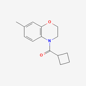 Cyclobutyl-(7-methyl-2,3-dihydro-1,4-benzoxazin-4-yl)methanone