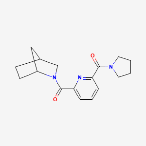 molecular formula C17H21N3O2 B7621878 [6-(2-Azabicyclo[2.2.1]heptane-2-carbonyl)pyridin-2-yl]-pyrrolidin-1-ylmethanone 