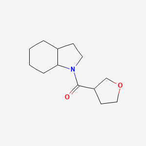 2,3,3a,4,5,6,7,7a-Octahydroindol-1-yl(oxolan-3-yl)methanone