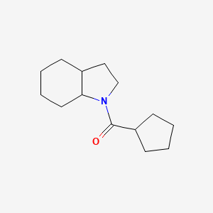 molecular formula C14H23NO B7623110 2,3,3a,4,5,6,7,7a-Octahydroindol-1-yl(cyclopentyl)methanone 