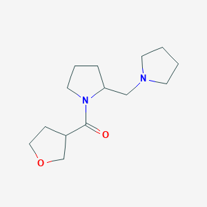 Oxolan-3-yl-[2-(pyrrolidin-1-ylmethyl)pyrrolidin-1-yl]methanone