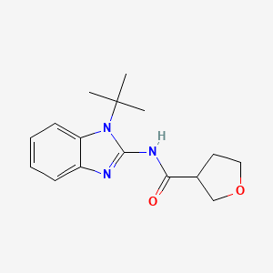 molecular formula C16H21N3O2 B7623238 N-(1-tert-butylbenzimidazol-2-yl)oxolane-3-carboxamide 