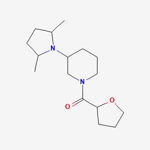 [3-(2,5-Dimethylpyrrolidin-1-yl)piperidin-1-yl]-(oxolan-2-yl)methanone