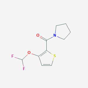 molecular formula C10H11F2NO2S B7623462 [3-(Difluoromethoxy)thiophen-2-yl]-pyrrolidin-1-ylmethanone 