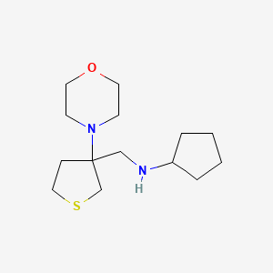 molecular formula C14H26N2OS B7623503 N-[(3-morpholin-4-ylthiolan-3-yl)methyl]cyclopentanamine 