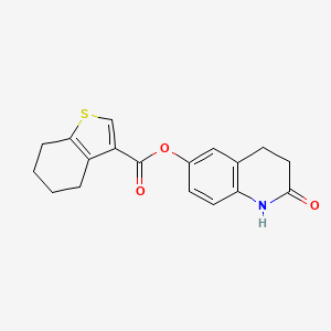 molecular formula C18H17NO3S B7624073 (2-oxo-3,4-dihydro-1H-quinolin-6-yl) 4,5,6,7-tetrahydro-1-benzothiophene-3-carboxylate 