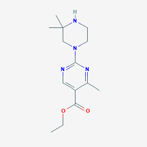 molecular formula C14H22N4O2 B7625358 Ethyl 2-(3,3-dimethylpiperazin-1-yl)-4-methylpyrimidine-5-carboxylate 