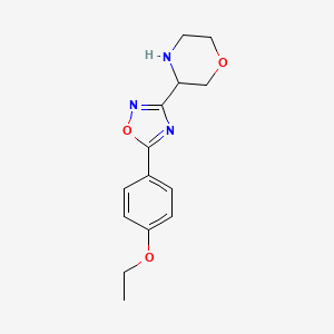 3-[5-(4-Ethoxyphenyl)-1,2,4-oxadiazol-3-yl]morpholine