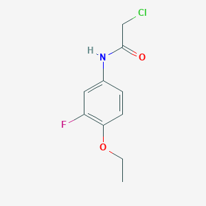 molecular formula C10H11ClFNO2 B7628317 2-chloro-N-(4-ethoxy-3-fluorophenyl)acetamide 