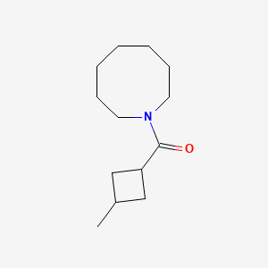 molecular formula C13H23NO B7630311 Azocan-1-yl-(3-methylcyclobutyl)methanone 