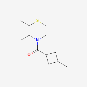 molecular formula C12H21NOS B7630458 (2,3-Dimethylthiomorpholin-4-yl)-(3-methylcyclobutyl)methanone 