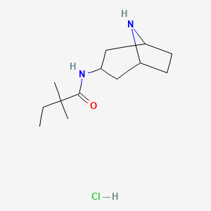 molecular formula C13H25ClN2O B7632477 N-(8-azabicyclo[3.2.1]octan-3-yl)-2,2-dimethylbutanamide;hydrochloride 