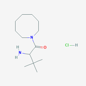 molecular formula C13H27ClN2O B7632485 2-Amino-1-(azocan-1-yl)-3,3-dimethylbutan-1-one;hydrochloride 