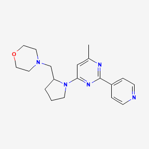 molecular formula C19H25N5O B7633440 4-[[1-(6-Methyl-2-pyridin-4-ylpyrimidin-4-yl)pyrrolidin-2-yl]methyl]morpholine 