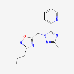 molecular formula C14H16N6O B7634099 5-[(3-Methyl-5-pyridin-2-yl-1,2,4-triazol-1-yl)methyl]-3-propyl-1,2,4-oxadiazole 
