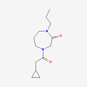 molecular formula C13H22N2O2 B7634420 4-(2-Cyclopropylacetyl)-1-propyl-1,4-diazepan-2-one 