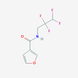 molecular formula C8H7F4NO2 B7634596 N-(2,2,3,3-tetrafluoropropyl)furan-3-carboxamide 