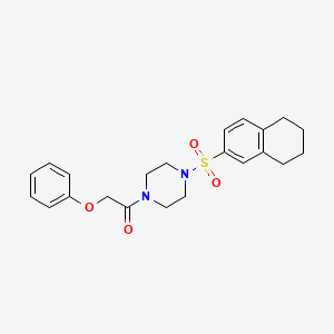 molecular formula C22H26N2O4S B7635051 2-Phenoxy-1-[4-(5,6,7,8-tetrahydronaphthalen-2-ylsulfonyl)piperazin-1-yl]ethanone 