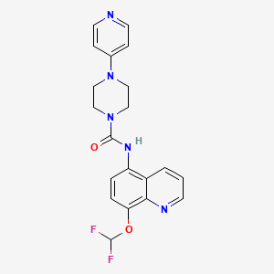 molecular formula C20H19F2N5O2 B7635526 N-[8-(difluoromethoxy)quinolin-5-yl]-4-pyridin-4-ylpiperazine-1-carboxamide 