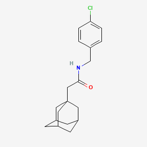 molecular formula C19H24ClNO B7635842 2-adamantan-1-yl-N-(4-chloro-benzyl)-acetamide 