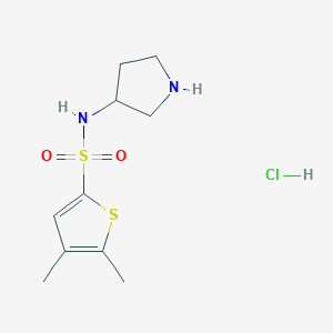 molecular formula C10H17ClN2O2S2 B7635857 4,5-dimethyl-N-pyrrolidin-3-ylthiophene-2-sulfonamide;hydrochloride 