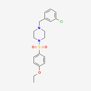 molecular formula C19H23ClN2O3S B7635904 1-(3-Chlorobenzyl)-4-[(4-ethoxyphenyl)sulfonyl]piperazine 