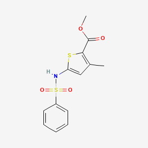 molecular formula C13H13NO4S2 B7636365 Methyl 5-(benzenesulfonamido)-3-methylthiophene-2-carboxylate 