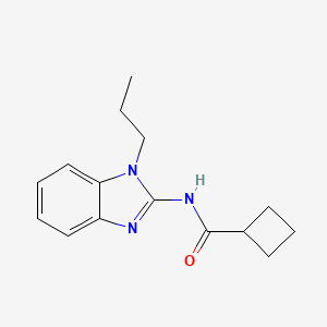 molecular formula C15H19N3O B7636930 N-(1-propylbenzimidazol-2-yl)cyclobutanecarboxamide 