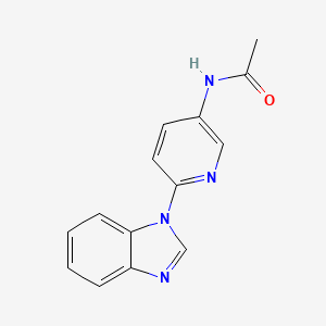 molecular formula C14H12N4O B7638221 N-[6-(1H-benzimidazol-1-yl)pyridin-3-yl]acetamide 