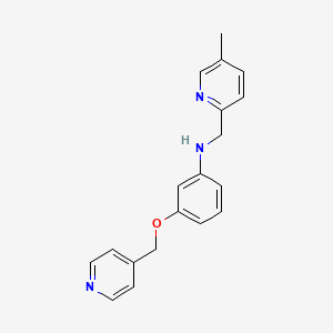 molecular formula C19H19N3O B7640095 N-[(5-methylpyridin-2-yl)methyl]-3-(pyridin-4-ylmethoxy)aniline 