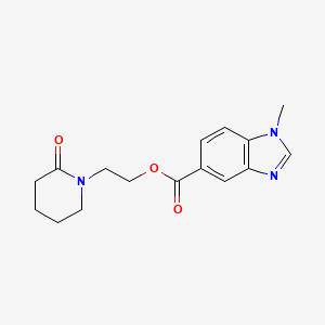 molecular formula C16H19N3O3 B7641829 2-(2-Oxopiperidin-1-yl)ethyl 1-methylbenzimidazole-5-carboxylate 