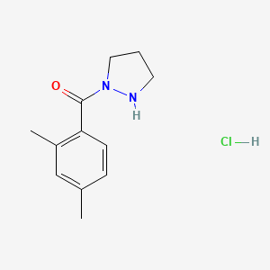 molecular formula C12H17ClN2O B7643565 (2,4-Dimethylphenyl)-pyrazolidin-1-ylmethanone;hydrochloride 