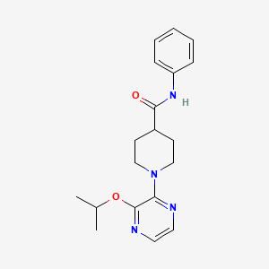 molecular formula C19H24N4O2 B7643745 N-phenyl-1-(3-propan-2-yloxypyrazin-2-yl)piperidine-4-carboxamide 