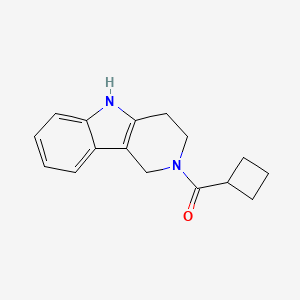 molecular formula C16H18N2O B7645339 cyclobutyl(1,3,4,5-tetrahydro-2H-pyrido[4,3-b]indol-2-yl)methanone 