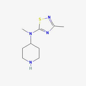 molecular formula C9H16N4S B7647037 N,3-dimethyl-N-piperidin-4-yl-1,2,4-thiadiazol-5-amine 