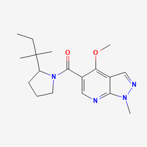 molecular formula C18H26N4O2 B7649318 (4-Methoxy-1-methylpyrazolo[3,4-b]pyridin-5-yl)-[2-(2-methylbutan-2-yl)pyrrolidin-1-yl]methanone 