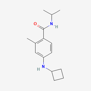 4-(cyclobutylamino)-2-methyl-N-propan-2-ylbenzamide