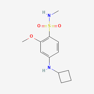 4-(cyclobutylamino)-2-methoxy-N-methylbenzenesulfonamide