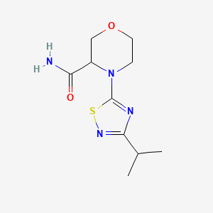 molecular formula C10H16N4O2S B7649600 4-(3-Propan-2-yl-1,2,4-thiadiazol-5-yl)morpholine-3-carboxamide 