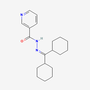 N-(dicyclohexylmethylideneamino)pyridine-3-carboxamide