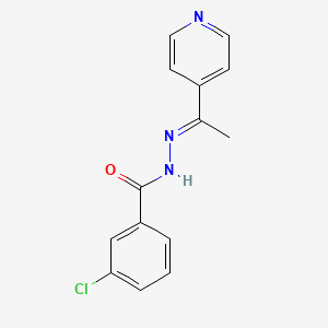 molecular formula C14H12ClN3O B7650826 3-chloro-N-[(E)-1-pyridin-4-ylethylideneamino]benzamide 