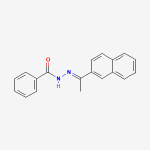 molecular formula C19H16N2O B7650842 N'-[1-(2-naphthyl)ethylidene]benzohydrazide 