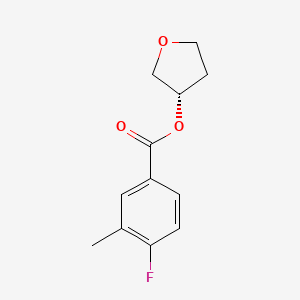 molecular formula C12H13FO3 B7651330 [(3S)-oxolan-3-yl] 4-fluoro-3-methylbenzoate 