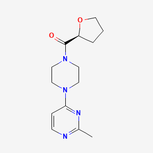 molecular formula C14H20N4O2 B7655085 [4-(2-methylpyrimidin-4-yl)piperazin-1-yl]-[(2S)-oxolan-2-yl]methanone 