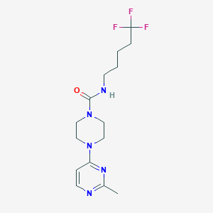 molecular formula C15H22F3N5O B7655523 4-(2-methylpyrimidin-4-yl)-N-(5,5,5-trifluoropentyl)piperazine-1-carboxamide 